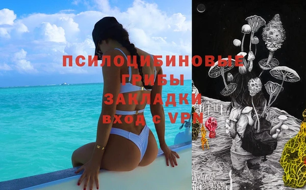 a pvp Протвино