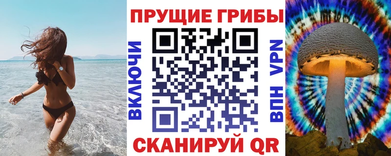 Псилоцибиновые грибы прущие грибы Тихорецк